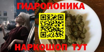 винт Будённовск